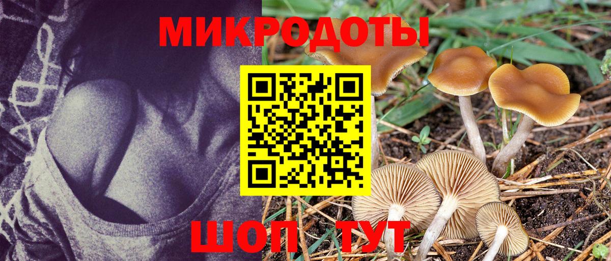 Псилоцибиновые грибы мухоморы Октябрьский