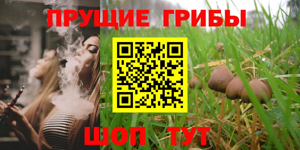 сколько стоит  Вход с VPN  Октябрьский  Галлюциногенные грибы GOLDEN TEACHER  Галлюциногенные грибы GOLDEN TEACHER 